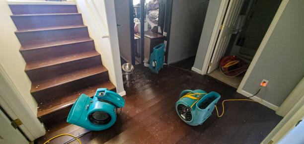 Best Emergency water damage restoration  in Edgewood, MD