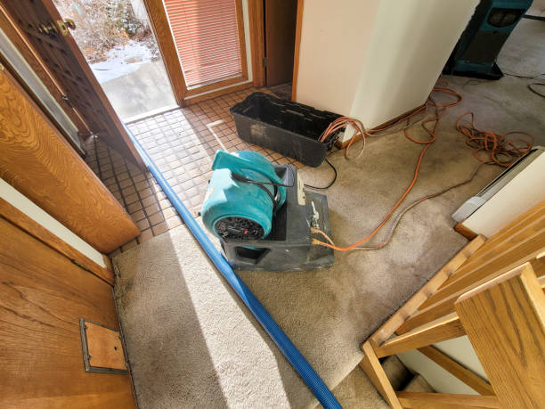 Best Local water damage restoration  in Edgewood, MD